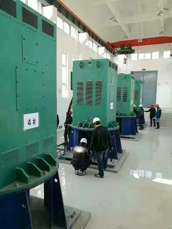 新盈镇某污水处理厂使用我厂的立式高压电机安装现场生产厂家